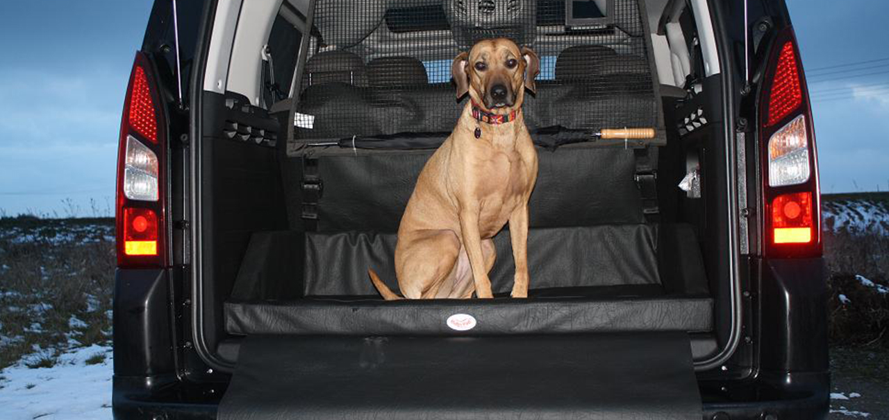 Schäferhund auf seinem Carpad